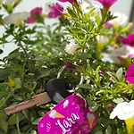 Lara Apartamento Podstrana